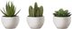 Monarch Specialties Inc. 3-Piece Green Artificial Succulent Plant Set with White Pot-0