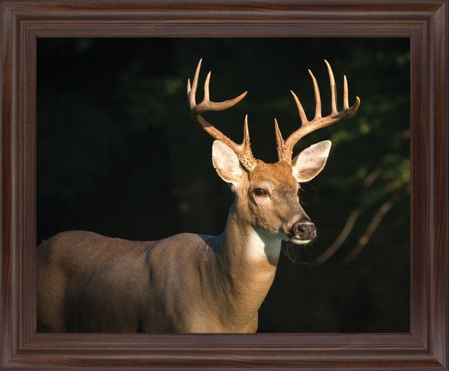 Classy Living Forest Sentinel Wall Art-0