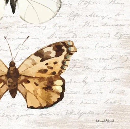 Classy Art Butterfly Trio by Lettered and Lined Wall Art-1