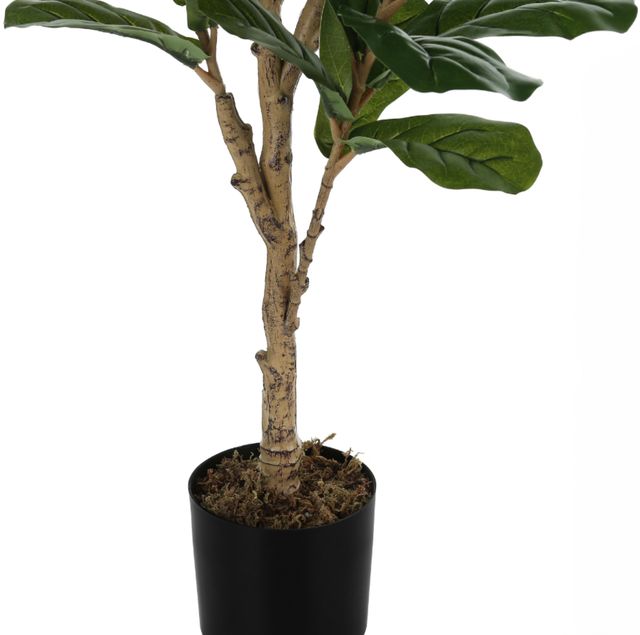 Monarch Specialties Inc. Black 47" Artificial Potted Fiddle Tree-1