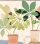 Stylecraft Boho Still Life II Beige/Brown/Gray/Green/Light Brown/Light Green Wall Art -2