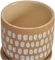 Moe's Home Collection Botanical Natural 5.75" Planter-2