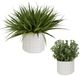 Uttermost® Edgewood 2-Piece Green/White Greenery Set-0