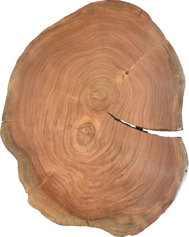 Meridian Furniture Woodland Natural End Table-2