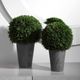 Uttermost® by Constance Lael-Linyard Cypress Globes 2-Piece Foliage-2