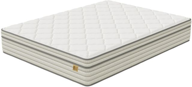 Eclipse® Bedding Industries of America Ohio Wrapped Coil Medium Plush Pillow Top Full Mattress in a Box-0