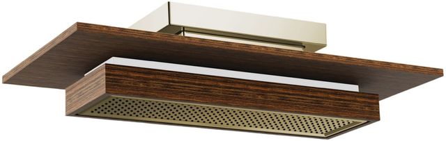 Brizo Frank Lloyd Wright® Brilliance® Polished Nickel/Wood Single-Function Raincan Shower Head with Integrated Lighting-0