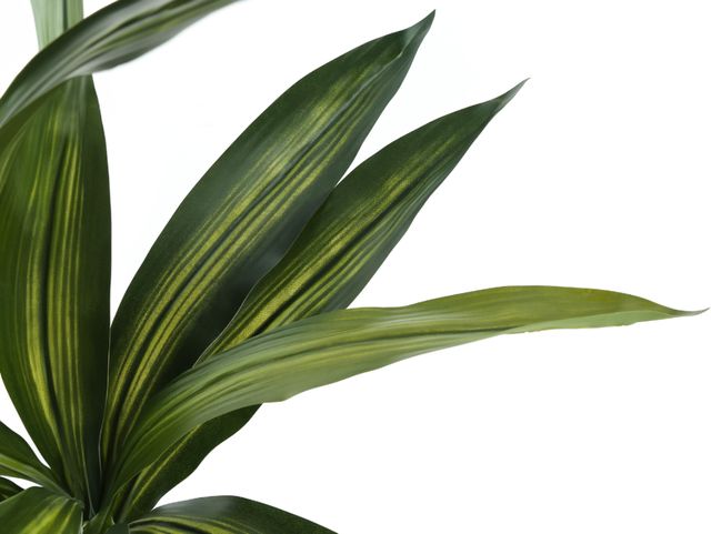 Monarch Specialties Inc. Black 51" Artificial Potted Dracaena Tree-2