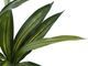 Monarch Specialties Inc. Black 51" Artificial Potted Dracaena Tree-2
