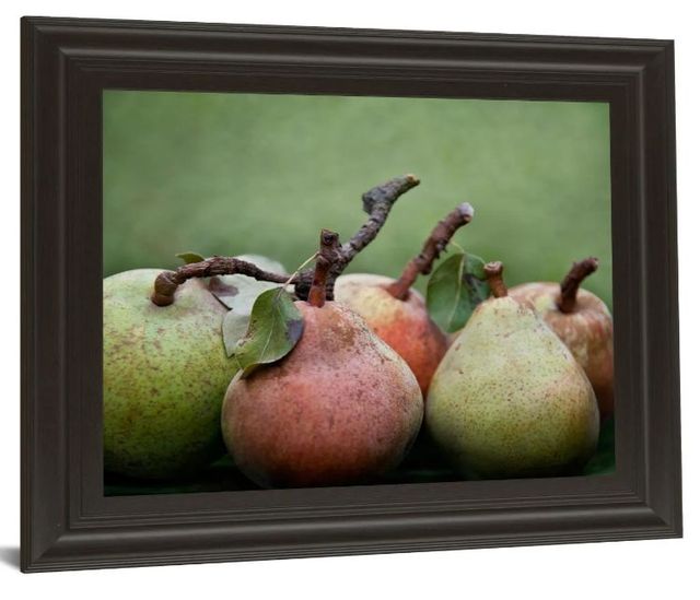 Classy Art Comice Pear I by Rachel Perry Wall Art-1