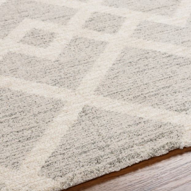 Surya Gavic Light Beige/Medium Gray 4'x6' Area Rug-4