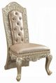 ACME Furniture Vatican 2-Piece Champagne Silver Side Chair Set-0