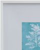 Bassett Mirror Coral IV Framed Print-1