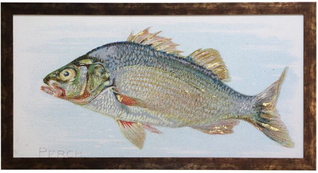 Stylecraft Perch Wall Art-0