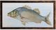 Stylecraft Perch Wall Art-0