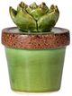 A & B Home Brown/Green 5" Ceramics Plant Decorative Object-0