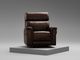 Arula Chocolate Leather Rocker Recliner-0