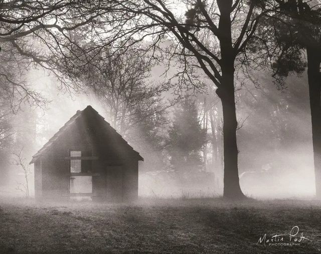 Classy Art The Shed by Martin Podt Wall Art-1