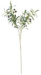 A & B Home Green Olive Leaf Branch-0
