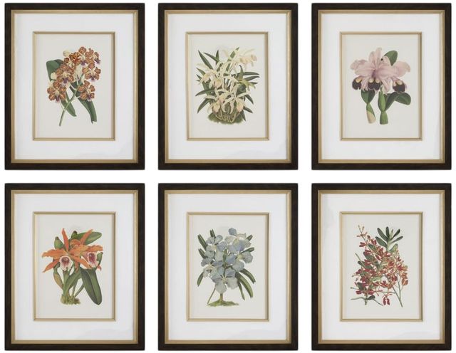 Uttermost® Orchid Botanical 6-Piece Framed Print Art Set-0