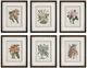 Uttermost® Orchid Botanical 6-Piece Framed Print Art Set-0