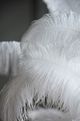 A & B Home Champagne Table Lamp-4
