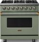 Viking® 5 Series 36" Eucalyptus Pro Style Dual Fuel (NG) Range with Brushed Brass Trim-0