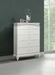ACME Furniture Maverick Platinum Chest-3