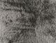 Signature Design by Ashley® Gariland Dark Gray Pillow-4