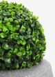 Le Present Boxwood Green Faux Botanical Ball-4