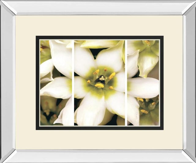 Classy Art Star Of Bethlehem Triptych By Levine A. Mirror Framed Wall Art-1