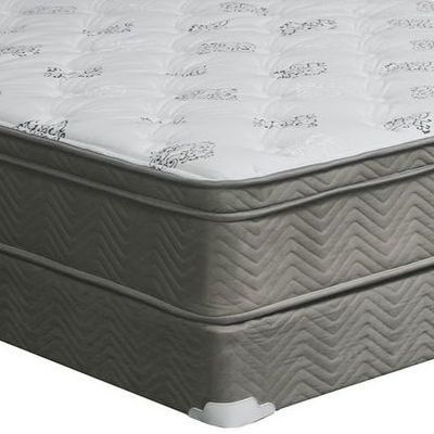 Furniture of America® Aleksa 11" Plush Euro Top Mattress-Queen-1