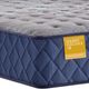 Sealy® Golden Elegance Spring Bridgerton 12.5" Wrapped Coil Firm Tight Top Twin Mattress-1