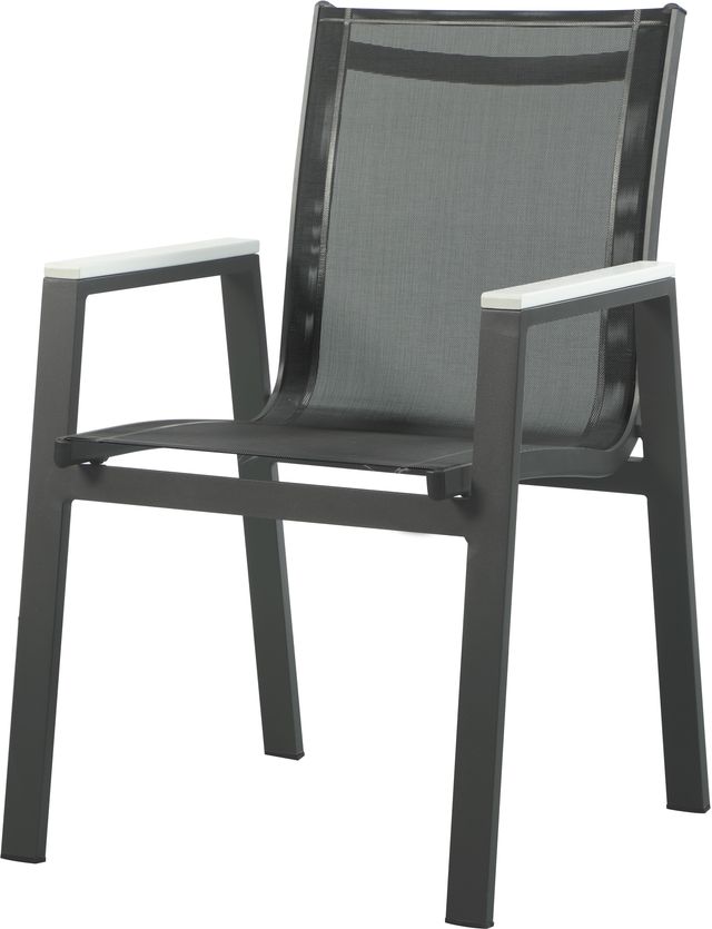 Meridian Furniture Nizuc 2-Piece Black Outdoor Patio Mesh Dining Arm Chairs-0