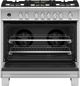 Fisher & Paykel 36" Stainless Steel Pro Style Dual Fuel Range-1