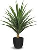 Le Present Yucca Green 35.5" Faux Botanical-0