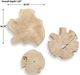 Uttermost® Kalani 3-Piece Bleached Teak Wood Indoor-Outdoor Wall Decor Set -3