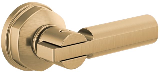 Brizo Invari® Brilliance® Luxe Gold® Universal Flush Lever-0