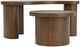 Riverside Furniture Santa Cruz Brown Cocktail Table-5