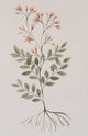 Stylecraft Gray/Light Gray/Light Red Wall Art-1