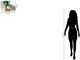 Classy Living Emerald Splash Mallard Wall Art-2