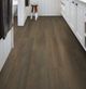 Shaw® Floors Resilient Residential Infinite 20 Raconteur Vinyl Flooring-2