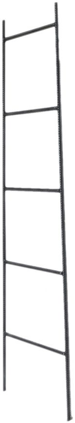 Moe's Home Collection Black Iron Ladder-1
