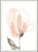 Classy Living Jennifer Goldberger Blush Petals II 40" Wall Art-1