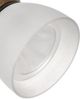 Cal® Lighting & Accessories Rust/White Track Light-1