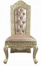 ACME Furniture Vatican 2-Piece Champagne Silver Side Chair Set-2