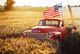 Classy Living Classic Rustic Patriot Wall Art-0