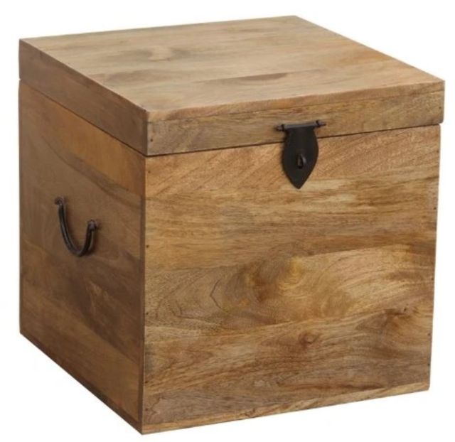 Jaipur Furniture Mcmullen Brown Cube Trunk-0
