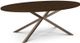 Amisco Customizable Asterisk Walnut Oval Table with Metal Stand-0