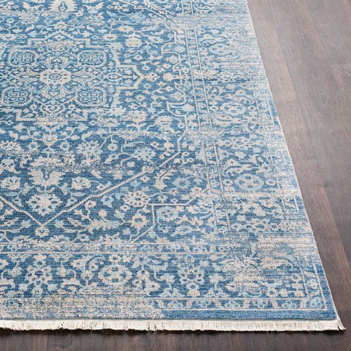 Surya Ephesians Blue/Beige 5'x8' Area Rug-4